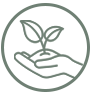 Valores - Green Line Premium